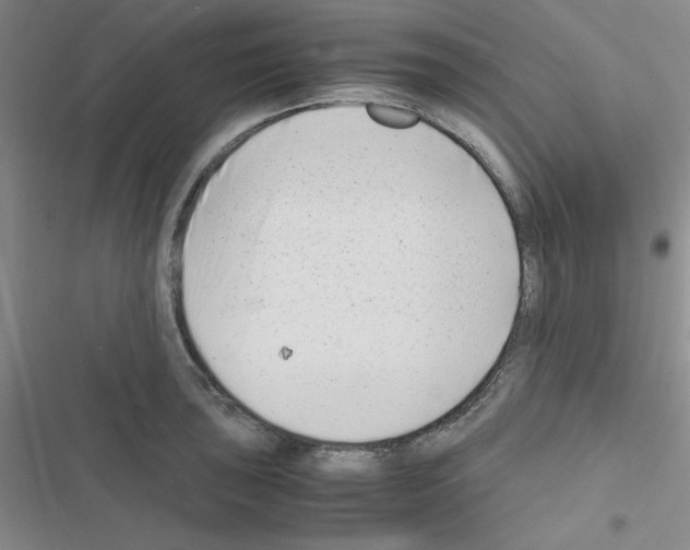 X0000116661043201001251213