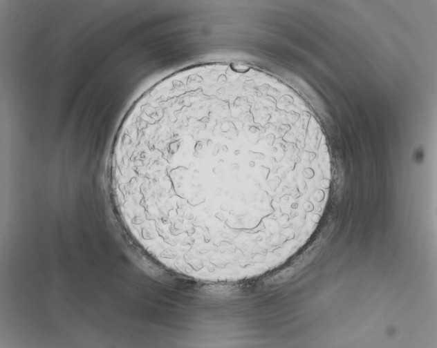 X0000116661044201001251213