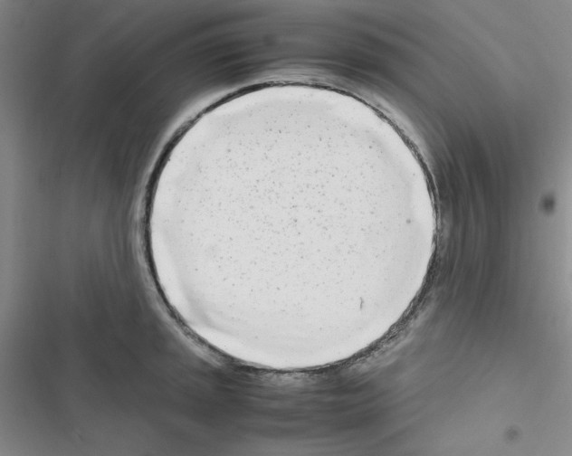 X0000116661045201001251214