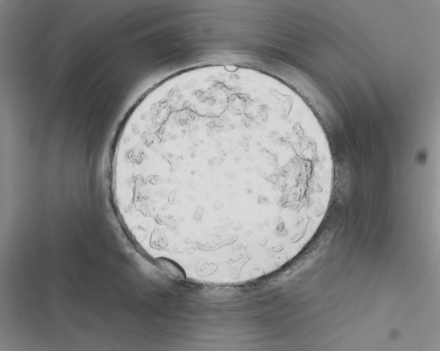 X0000116661046201001251214