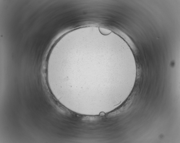 X0000116661051201001251214