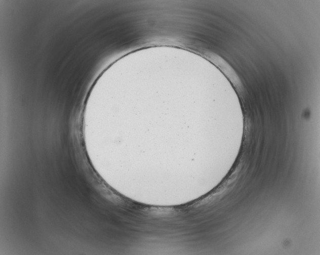 X0000116661052201001251214