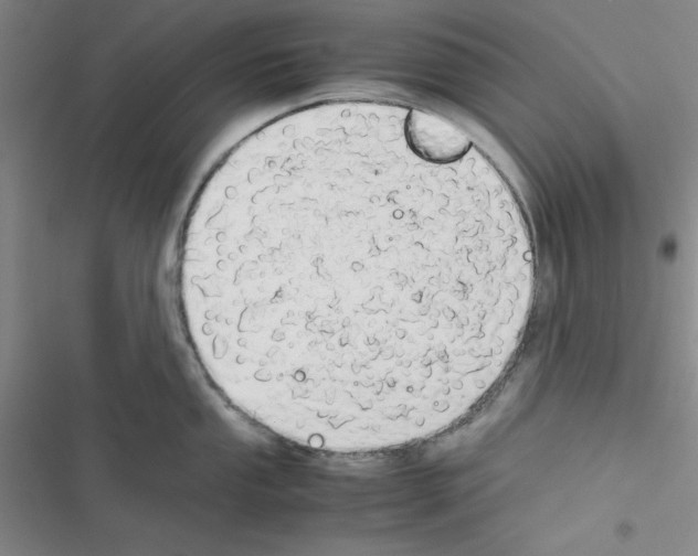 X0000116661053201001251214