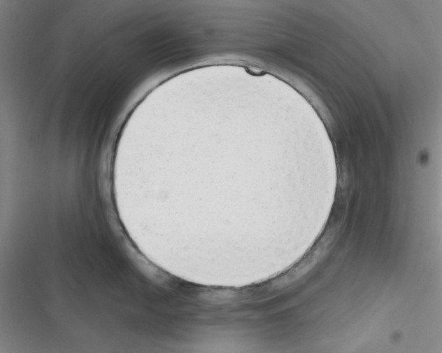 X0000116661054201001251214