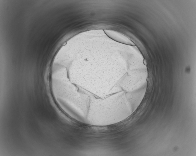 X0000116661055201001251214