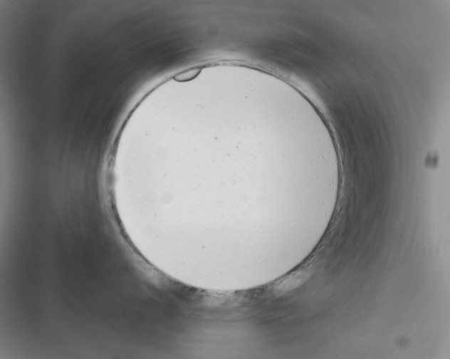 X0000116661056201001251214
