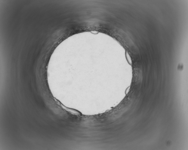 X0000116661057201001251213