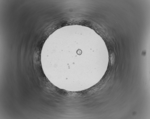 X0000116661059201001251213
