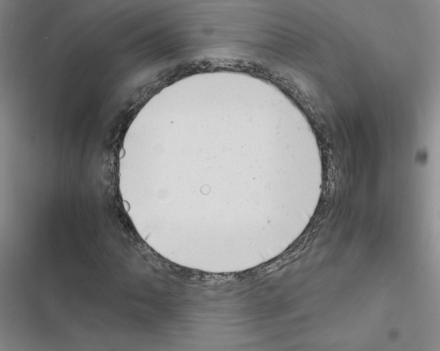 X0000116661062201001251213