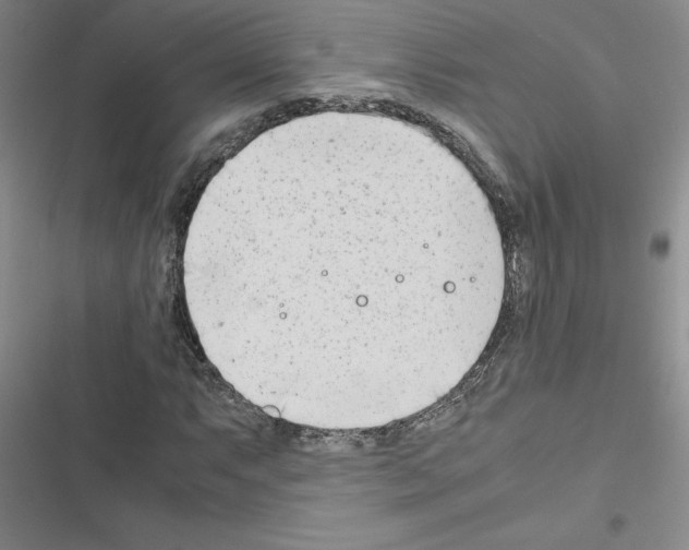 X0000116661063201001251213