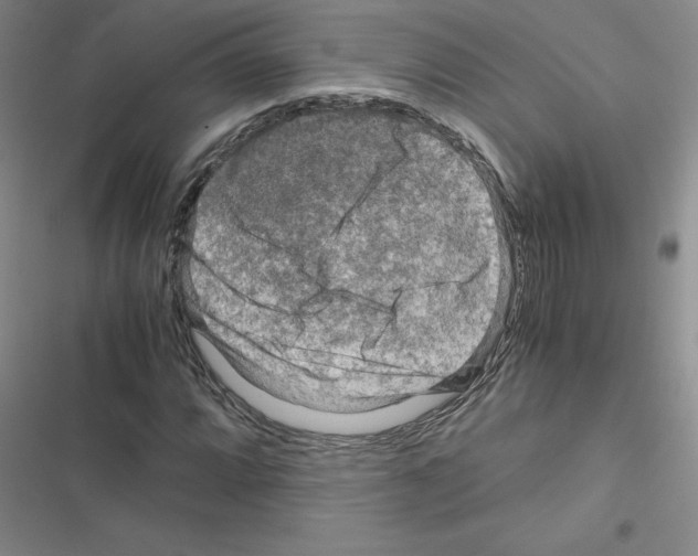 X0000116661064201001251213