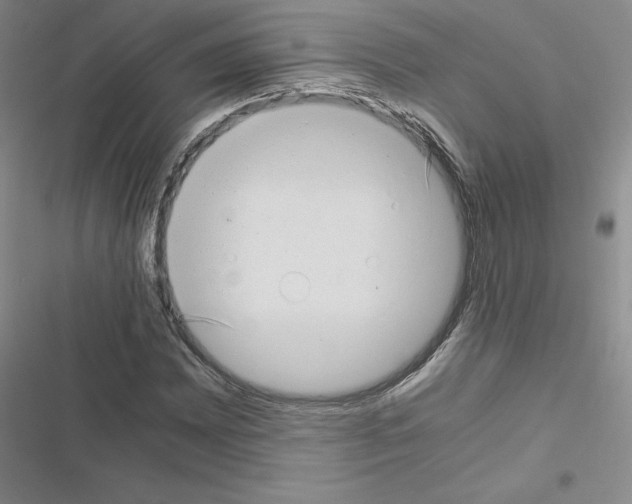 X0000116661065201001251213