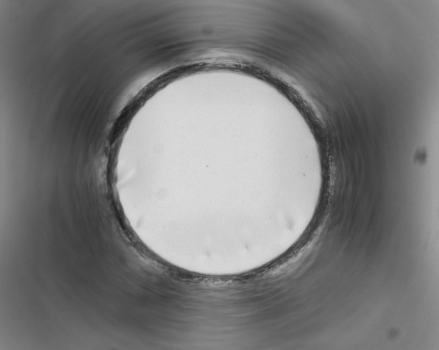 X0000116661066201001251213