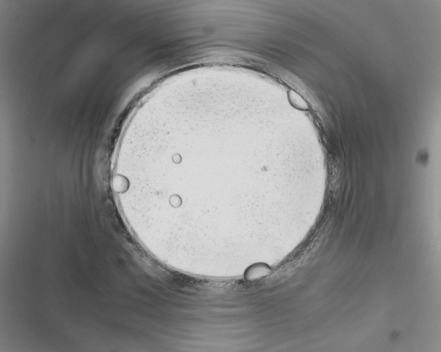 X0000116661067201001251213