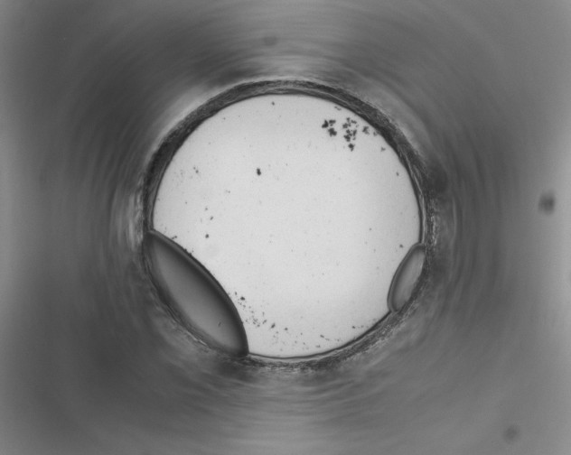 X0000116661069201001251213