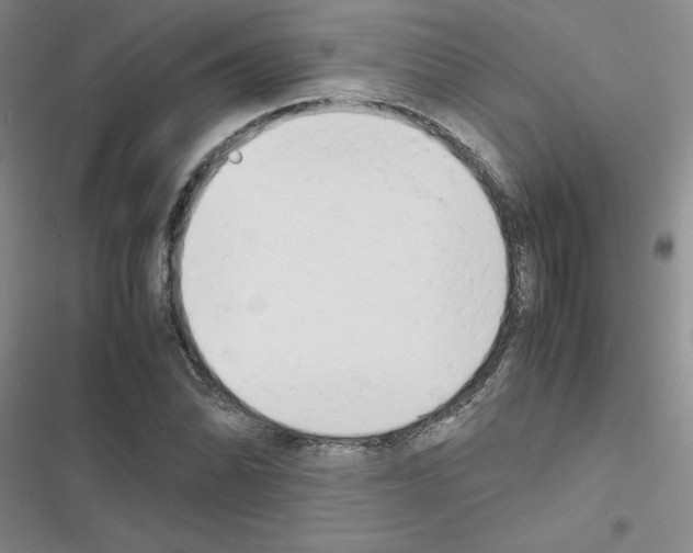 X0000116661070201001251213