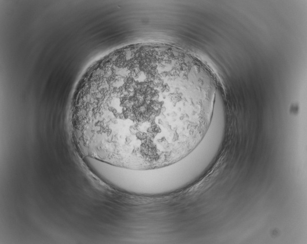 X0000116661072201001251213