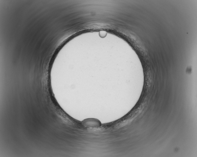 X0000116661073201001251213