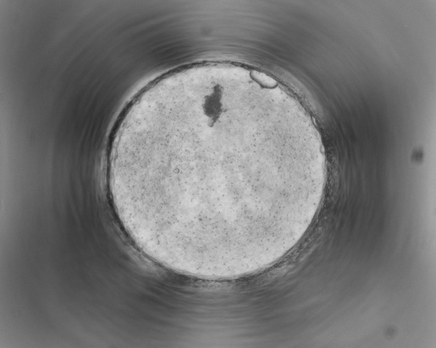 X0000116661076201001251213