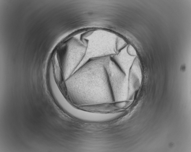 X0000116661077201001251213