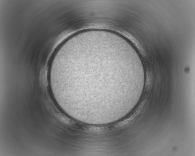 X0000116661078201001251213