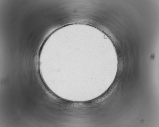 X0000116661079201001251213