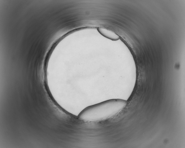 X0000116661080201001251213