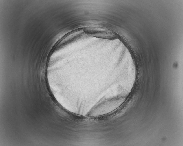 X0000116661081201001251213