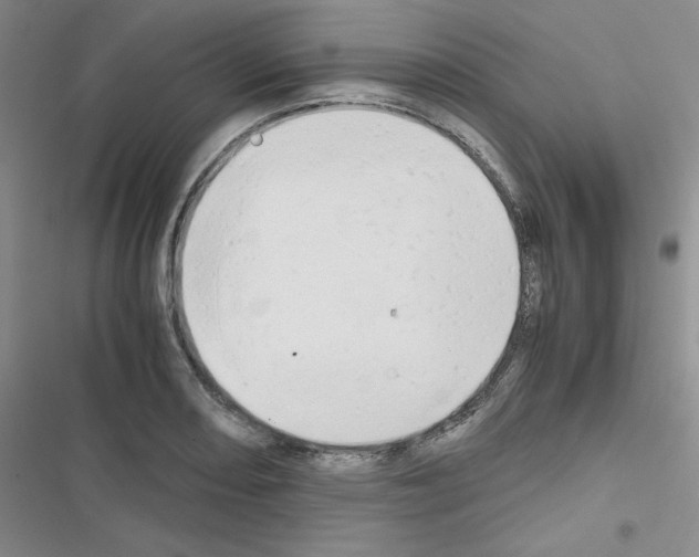X0000116661082201001251213