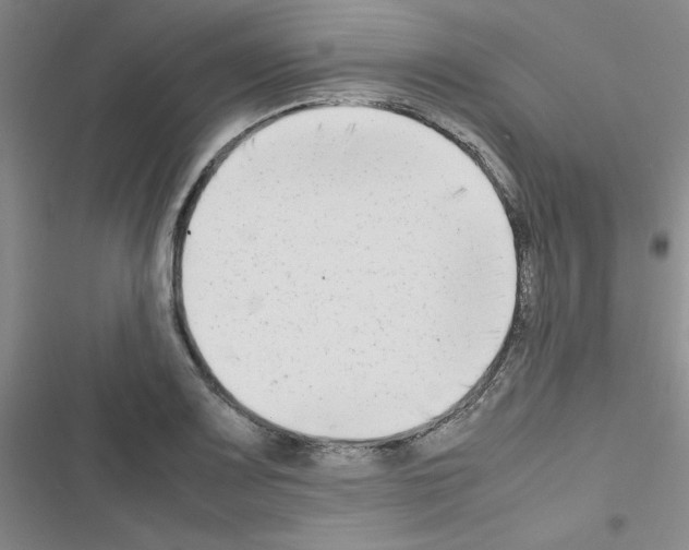 X0000116661083201001251213