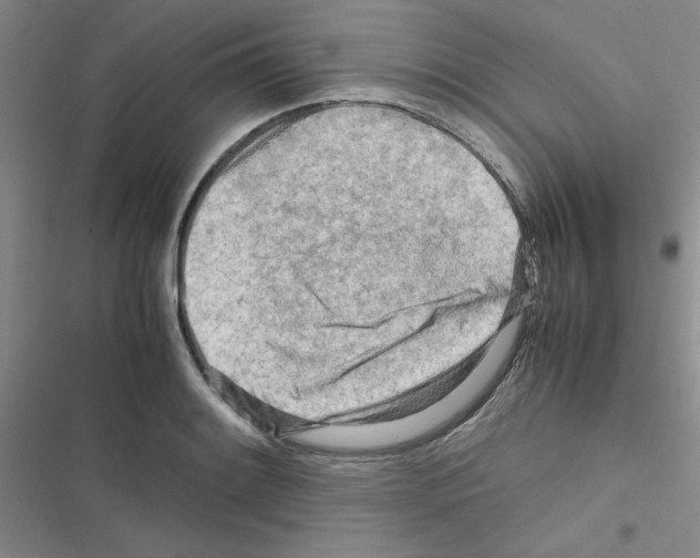 X0000116661084201001251213