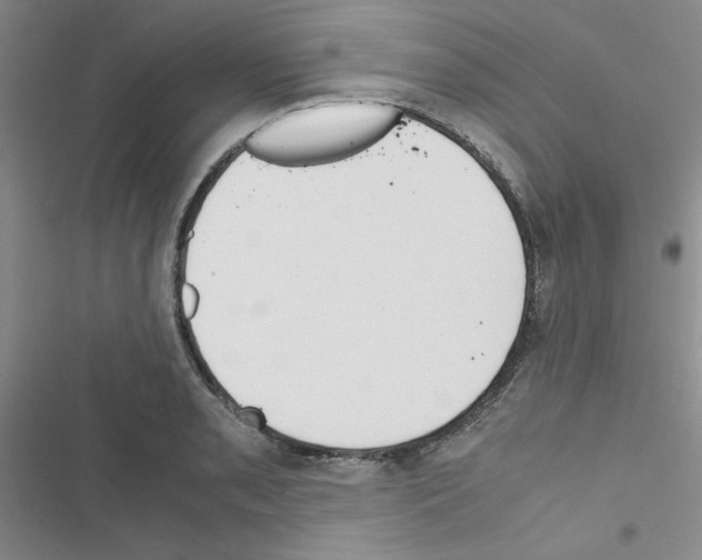 X0000116661085201001251213