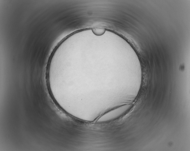 X0000116661086201001251213