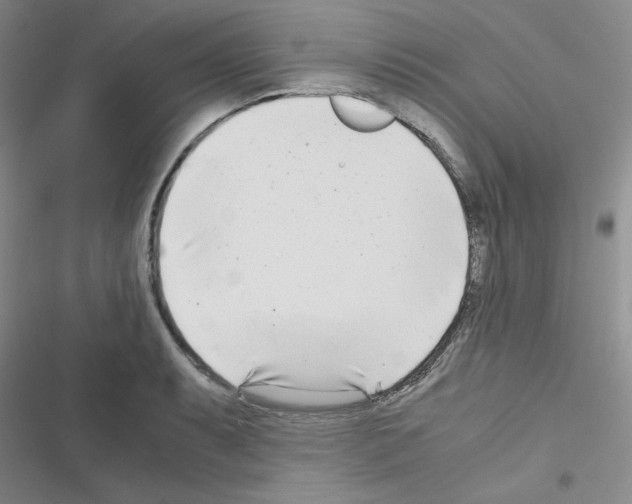 X0000116661087201001251213