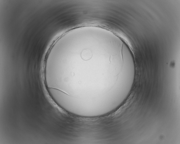 X0000116661088201001251213