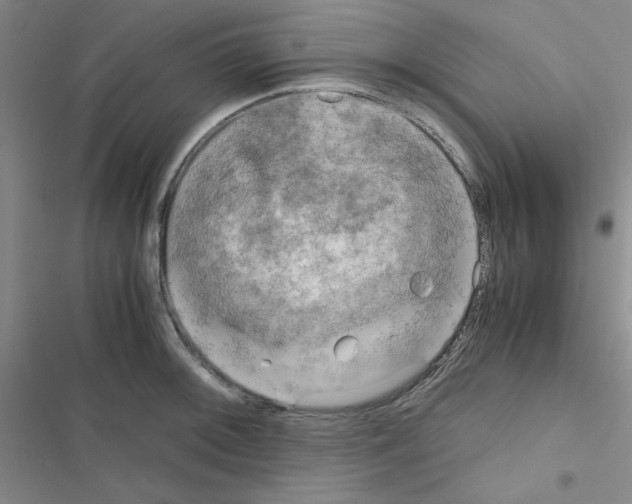 X0000116661092201001251213