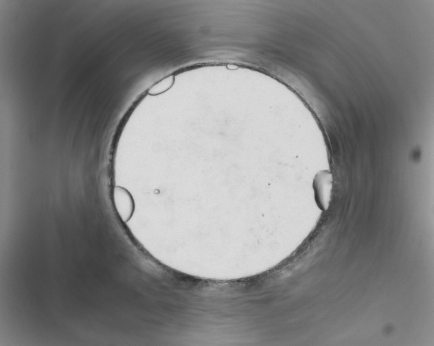 X0000116661093201001251213
