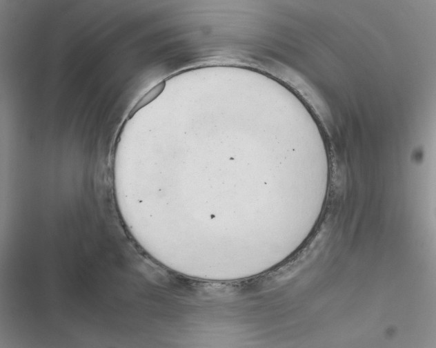 X0000116661097201001251212