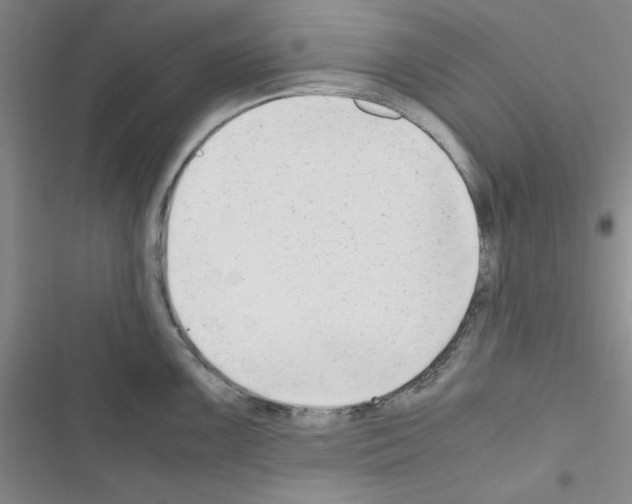 X0000116661099201001251212