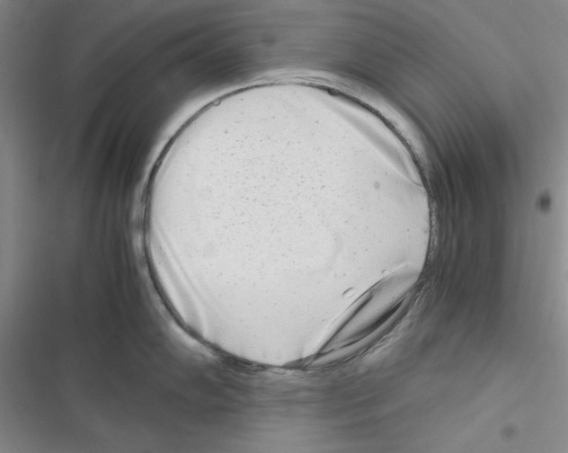 X0000116661102201001251212