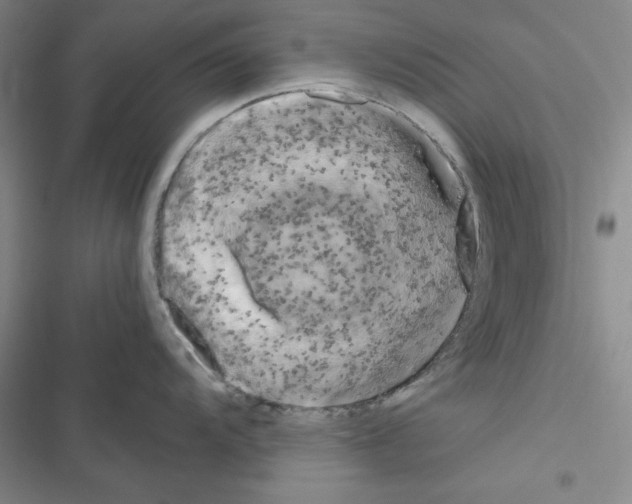 X0000116661104201001251212