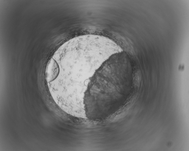 X0000116661105201001251212