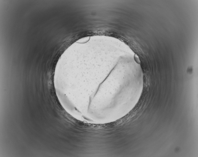X0000116661106201001251212
