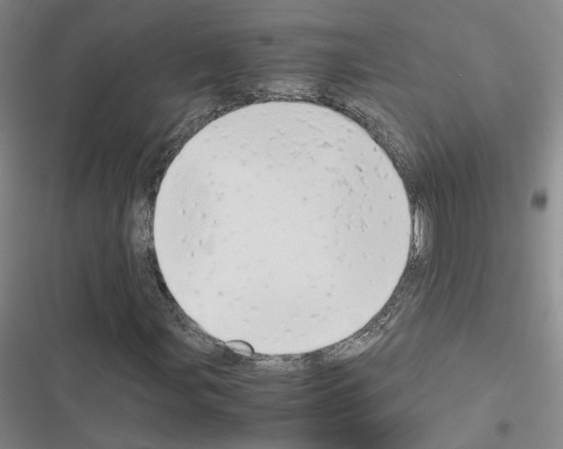 X0000116661107201001251212