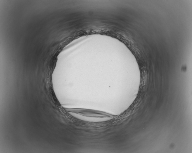 X0000116661109201001251212