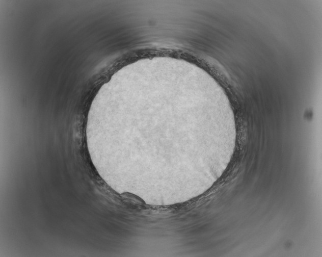 X0000116661110201001251212