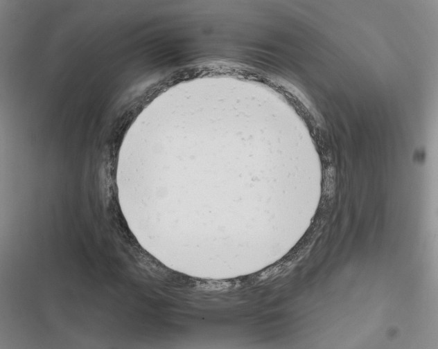 X0000116661111201001251212