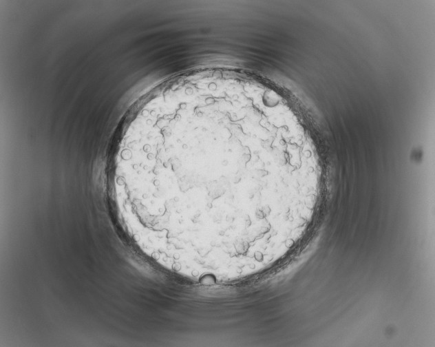 X0000116661113201001251212