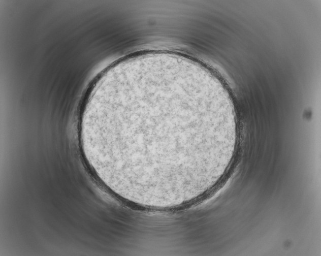 X0000116661114201001251212