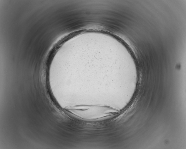 X0000116661115201001251212